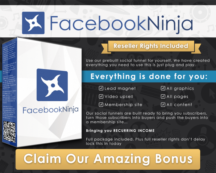 Facebook-Ninja-infographic