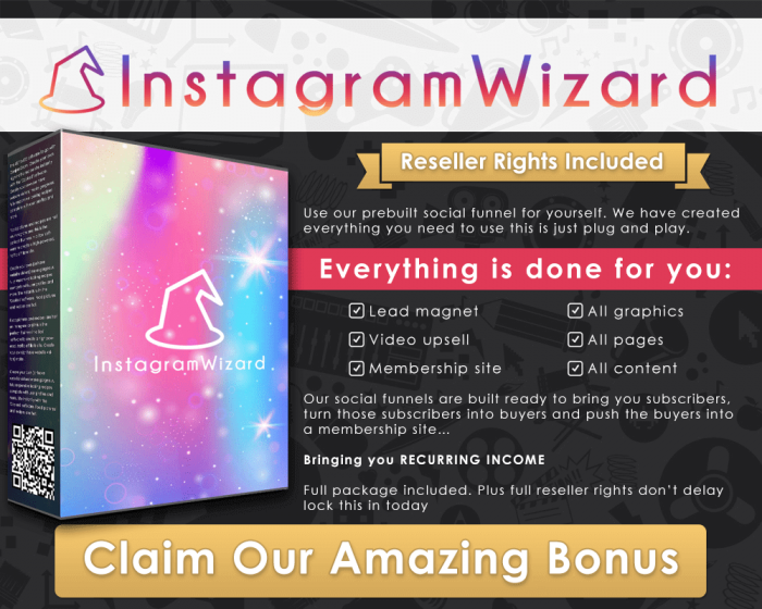 Instagram-Wizard-infographic