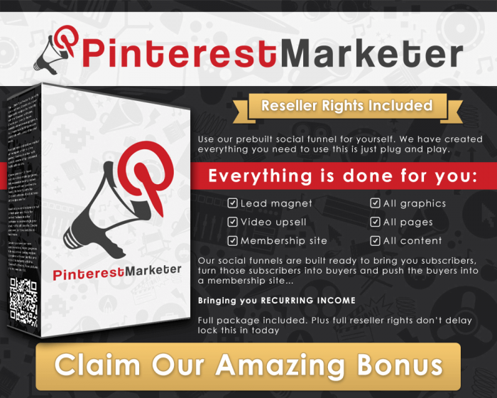 Pinterest-Marketer-infographic