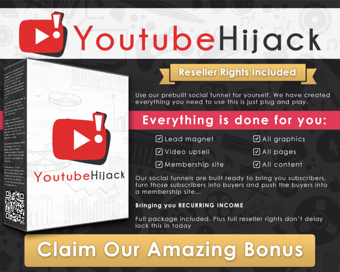 Youtube-Hijack-infographic